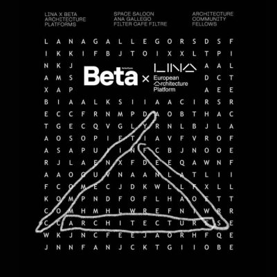 Meet the LINA fellows | BETA