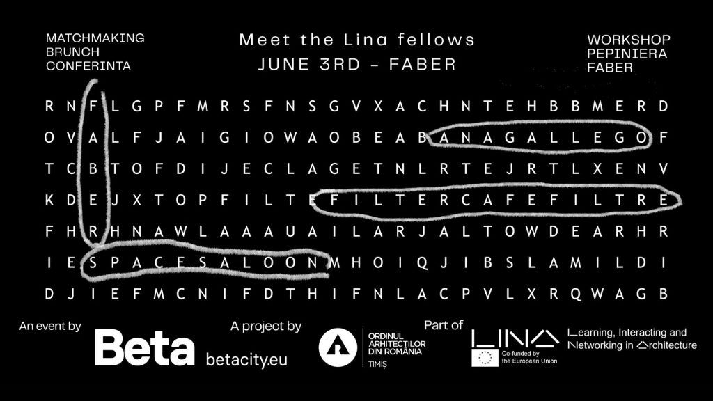 Meet the LINA fellows | BETA