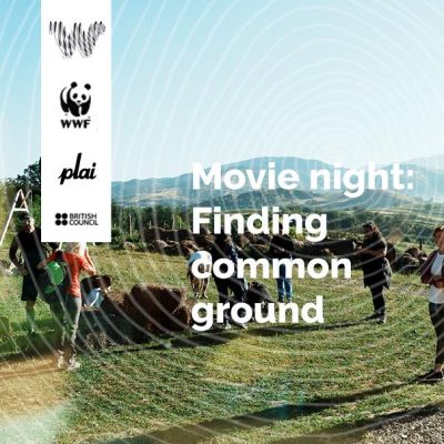 Movie Night: Finding Common Ground