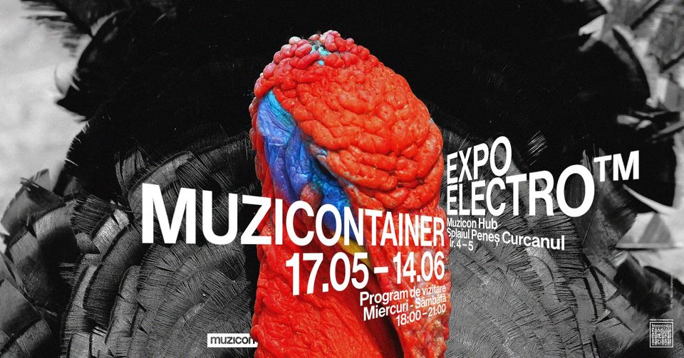 Deschidere Muzicontainer - Expoziție despre muzica electronică din Timișoara anilor '90